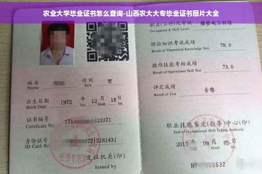 农业大学毕业证书怎么查询-山西农大大专毕业证书图片大全