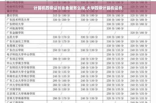 计算机四级证书含金量怎么样,大学四级计算机证书
