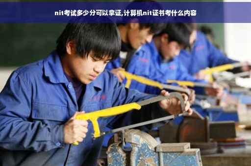 nit考试多少分可以拿证,计算机nit证书考什么内容