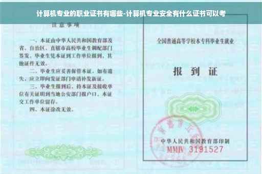 计算机专业的职业证书有哪些-计算机专业安全有什么证书可以考