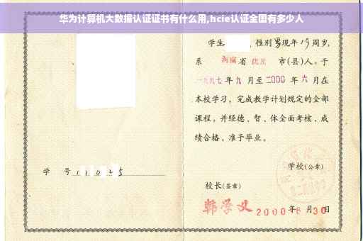 华为计算机大数据认证证书有什么用,hcie认证全国有多少人
