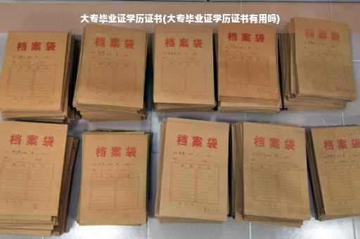 大专毕业证学历证书(大专毕业证学历证书有用吗)