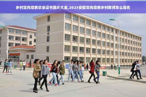 乡村定向培养毕业证书图片大全,2023安徽定向培养乡村教师怎么报名
