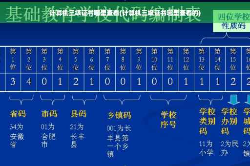计算机三级证书哪里查看(计算机三级证书哪里查看的)