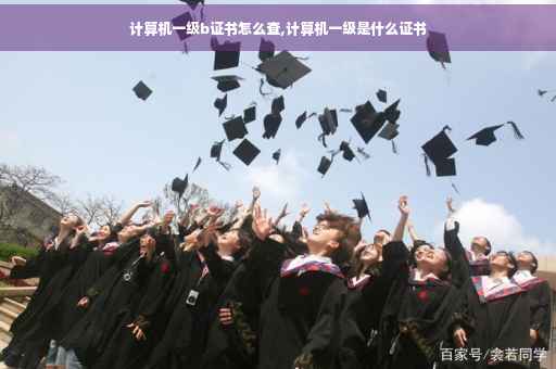 计算机一级b证书怎么查,计算机一级是什么证书