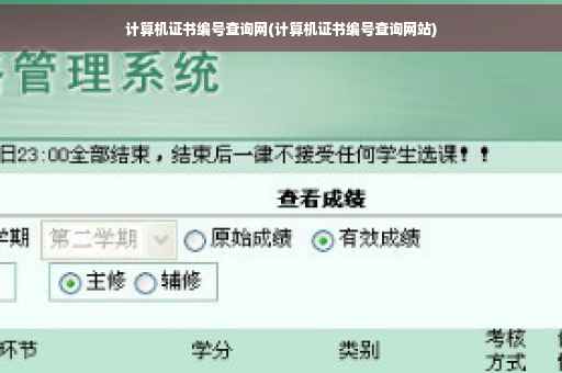 计算机证书编号查询网(计算机证书编号查询网站)