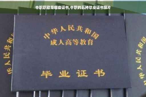 中职职称是哪些证书,中职的五种毕业证书图片 中职职称是哪些证书,中职的五种毕业证书图片