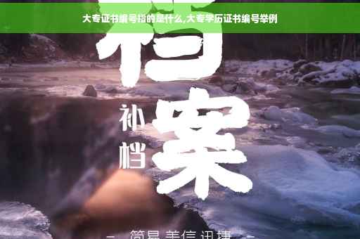 大专证书编号指的是什么,大专学历证书编号举例