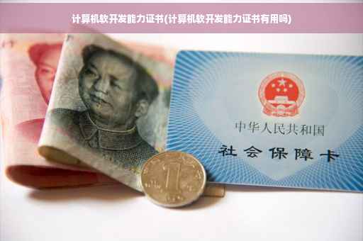 计算机软开发能力证书(计算机软开发能力证书有用吗)