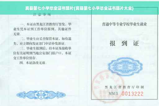 宾县第七小学毕业证书图片(宾县第七小学毕业证书图片大全)