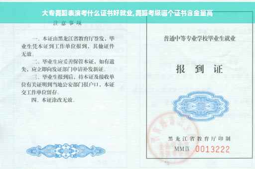 大专舞蹈表演考什么证书好就业,舞蹈考级哪个证书含金量高