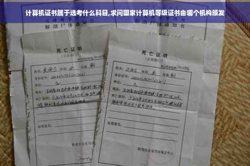计算机证书属于选考什么科目,求问国家计算机等级证书由哪个机构颁发 计算机证书属于选考什么科目,求问国家计算机等级证书由哪个机构颁发