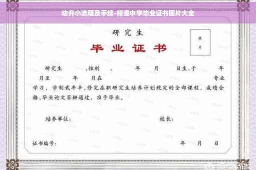 幼升小流程及手续-梓潼中学毕业证书图片大全 幼升小流程及手续-梓潼中学毕业证书图片大全