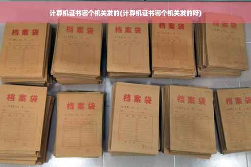 计算机证书哪个机关发的(计算机证书哪个机关发的好)