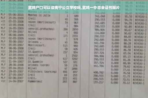 武鸣户口可以读南宁公立学校吗,武鸣一中毕业证书图片
