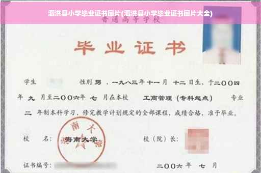 泗洪县小学毕业证书图片(泗洪县小学毕业证书图片大全)
