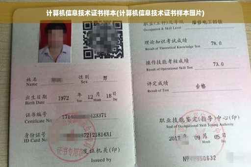 计算机信息技术证书样本(计算机信息技术证书样本图片)