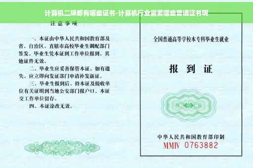 计算机二级都有哪些证书-计算机行业需要哪些普通证书呢