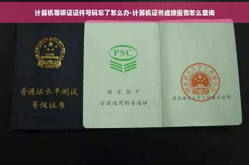 计算机等级证证件号码忘了怎么办-计算机证书成绩报告怎么查询