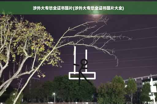 涉外大专毕业证书图片(涉外大专毕业证书图片大全)
