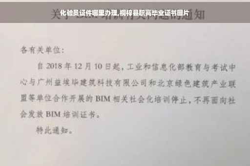 化验员证件哪里办理,桐梓县职高毕业证书图片