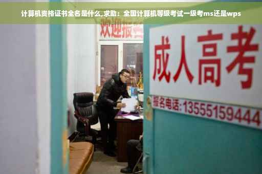 计算机资格证书全名是什么,求助：全国计算机等级考试一级考ms还是wps