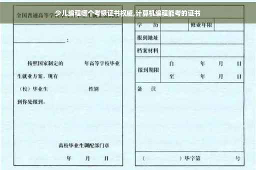 少儿编程哪个考级证书权威,计算机编程能考的证书