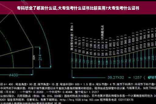 专科毕业了都发什么证,大专生考什么证书比较实用?大专生考什么证书