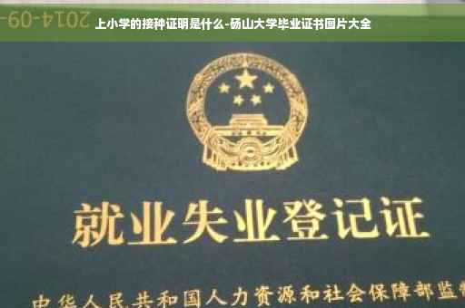 上小学的接种证明是什么-砀山大学毕业证书图片大全