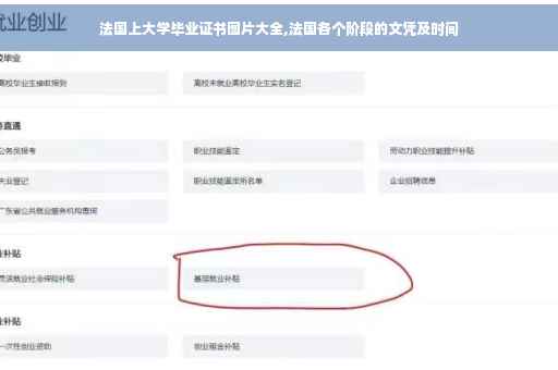 法国上大学毕业证书图片大全,法国各个阶段的文凭及时间