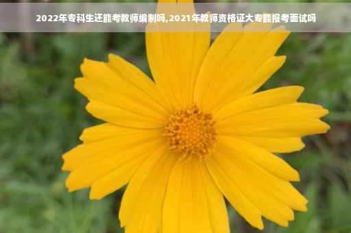 2022年专科生还能考教师编制吗,2021年教师资格证大专能报考面试吗