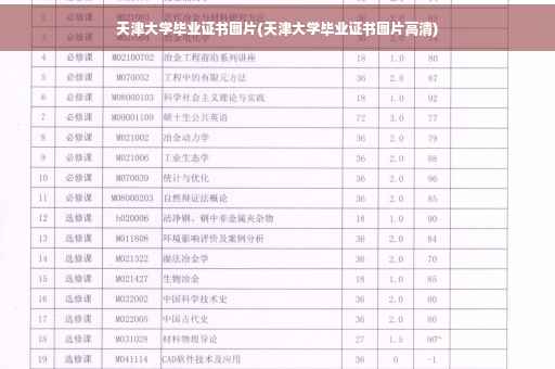 天津大学毕业证书图片(天津大学毕业证书图片高清)