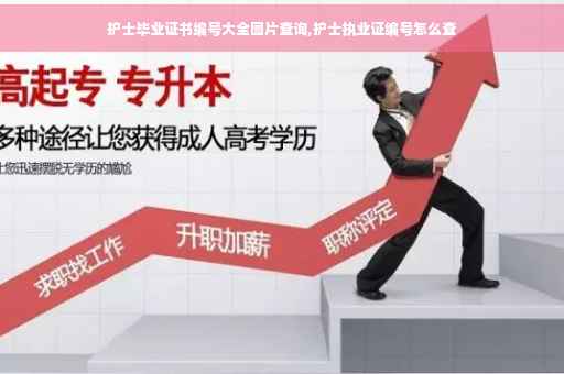 护士毕业证书编号大全图片查询,护士执业证编号怎么查