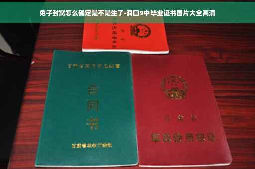 兔子封窝怎么确定是不是生了-洞口9中毕业证书图片大全高清
