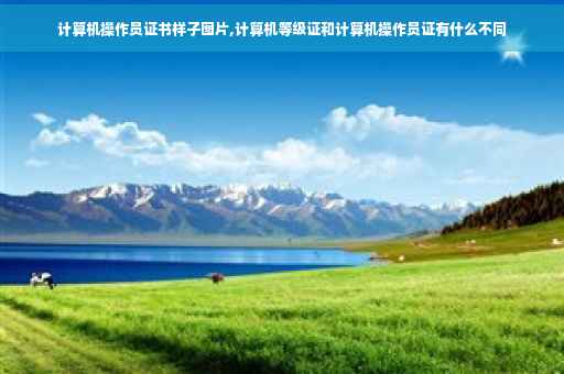 计算机操作员证书样子图片,计算机等级证和计算机操作员证有什么不同
