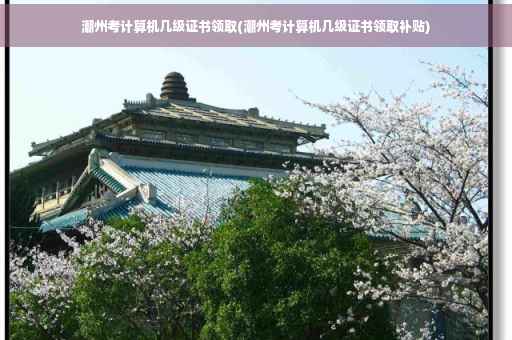 潮州考计算机几级证书领取(潮州考计算机几级证书领取补贴)