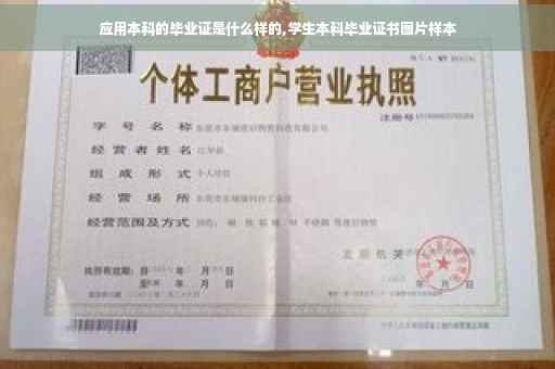 应用本科的毕业证是什么样的,学生本科毕业证书图片样本