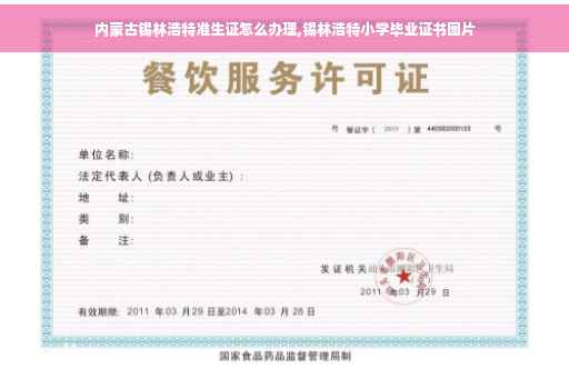 内蒙古锡林浩特准生证怎么办理,锡林浩特小学毕业证书图片