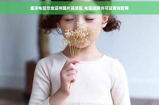 重庆电信毕业证书图片高清版,电信进网许可证查询官网