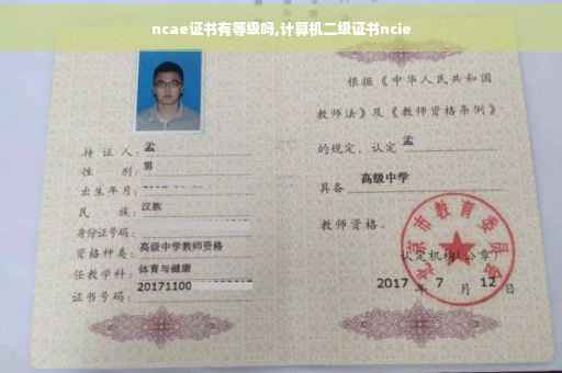 ncae证书有等级吗,计算机二级证书ncie