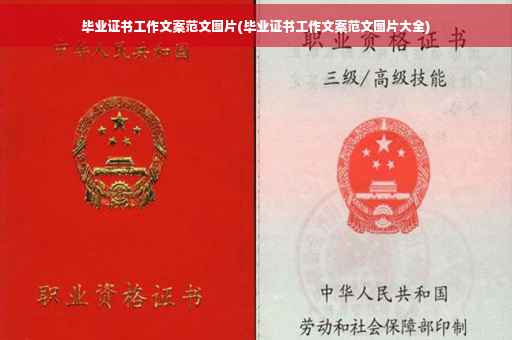 毕业证书工作文案范文图片(毕业证书工作文案范文图片大全) 毕业证书工作文案范文图片(毕业证书工作文案范文图片大全)