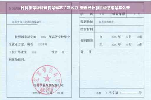 计算机等级证证件号码忘了怎么办-查自己计算机证书编号怎么查