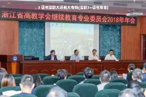 3 证书深职大还有大专吗(深职3+证书专业)