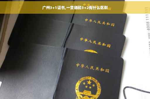 广州3+1证书,一贯通和3+2有什么区别