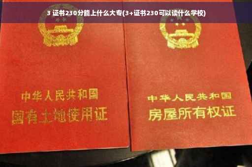 3 证书230分能上什么大专(3+证书230可以读什么学校)