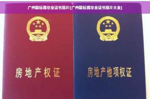广州国标舞毕业证书图片(广州国标舞毕业证书图片大全)