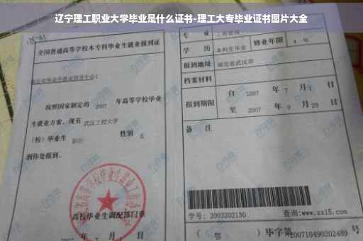 辽宁理工职业大学毕业是什么证书-理工大专毕业证书图片大全