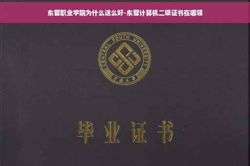 东营职业学院为什么这么好-东营计算机二级证书在哪领