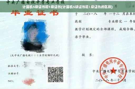 计算机5级证书和1级证书(计算机5级证书和1级证书的区别)