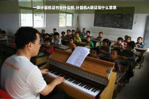 一级计算机证书长什么样,计算机A级证是什么意思